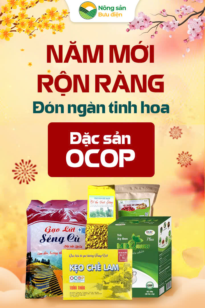 Banner quảng cáo 2