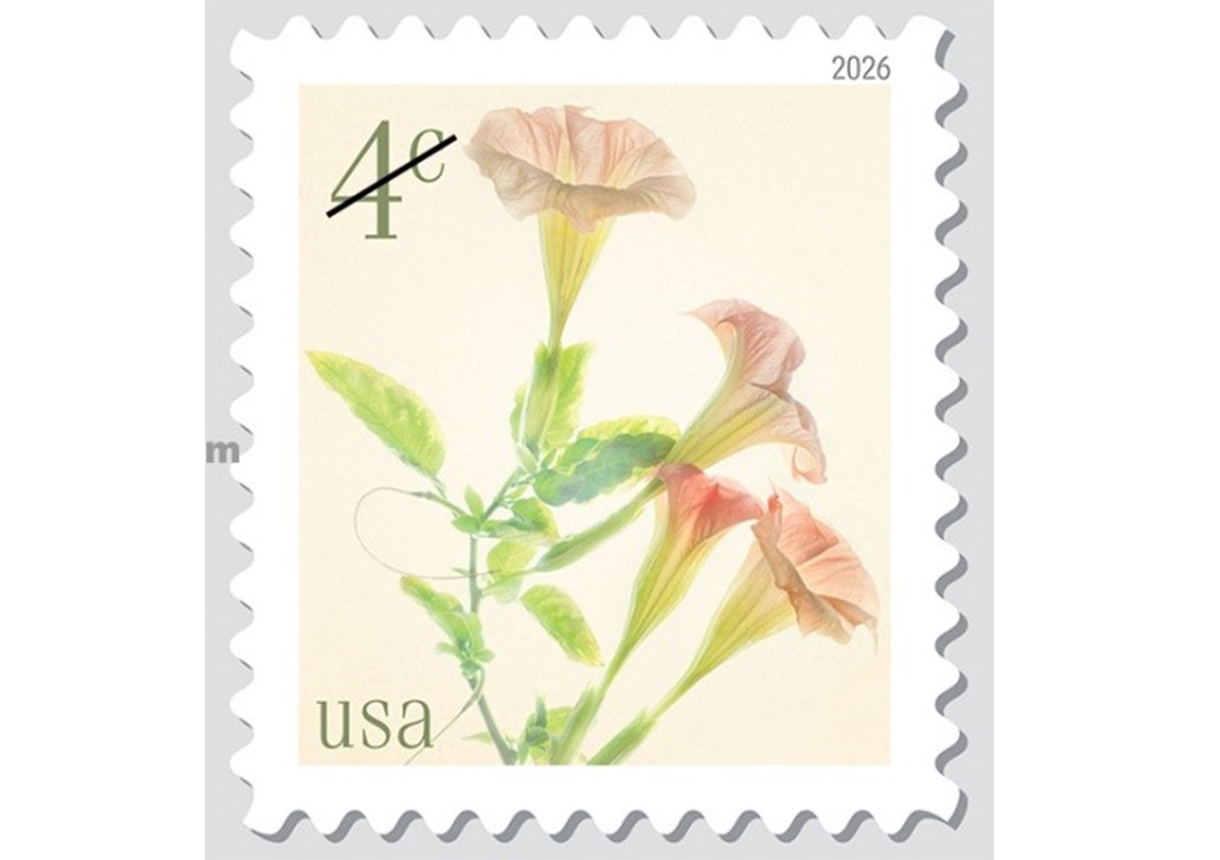 Bưu chính Mỹ phát hành bộ tem đầu tiên năm 2026 về hoa