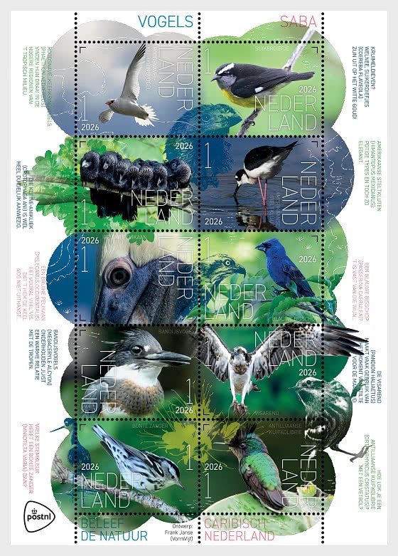 Bưu chính Hà Lan tiếp tục giới thiệu về bộ tem trải nghiệm thiên nhiên - Chim trên đảo Saba