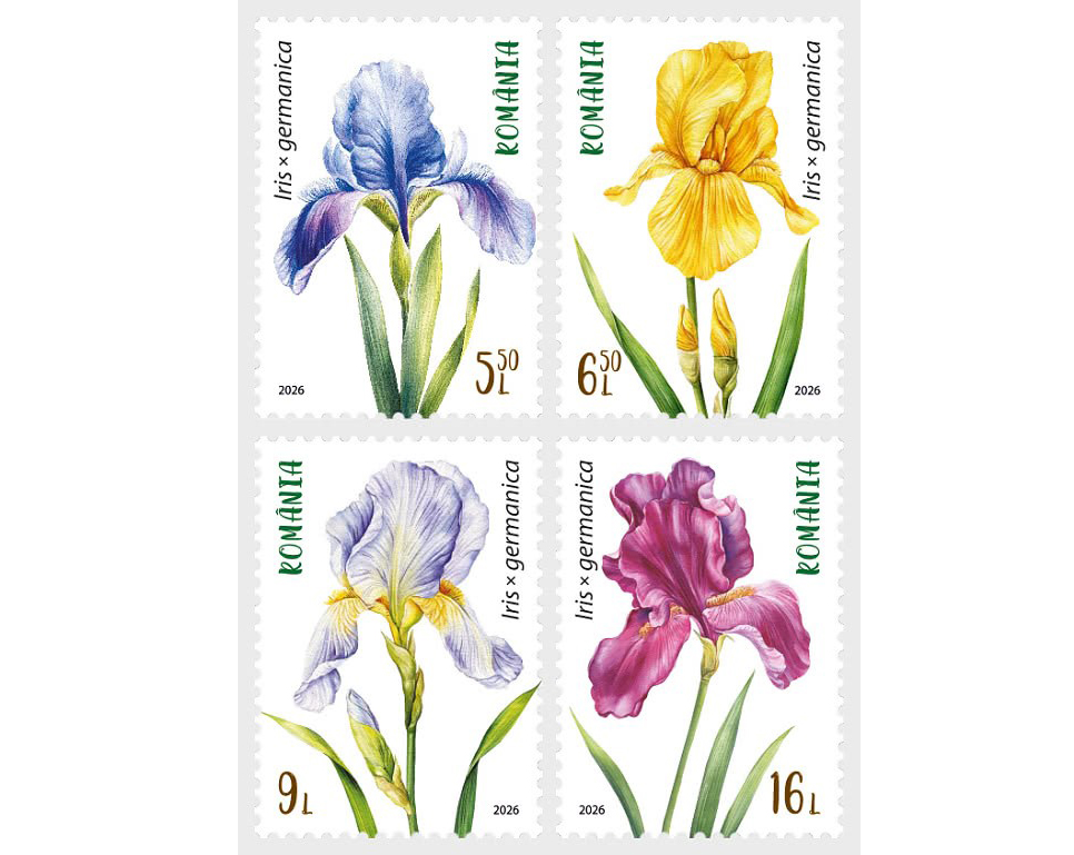Bưu chính Romania phát hành bộ tem về hoa diên vĩ