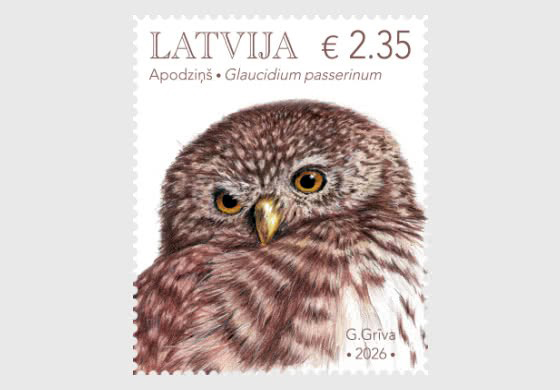 Bưu chính Latvia phát hành tem về loài Cú lùn Á-Âu