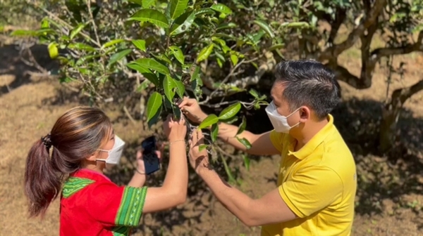 Tổng hợp báo chí ngành Bưu điện ngày 26/02/2022