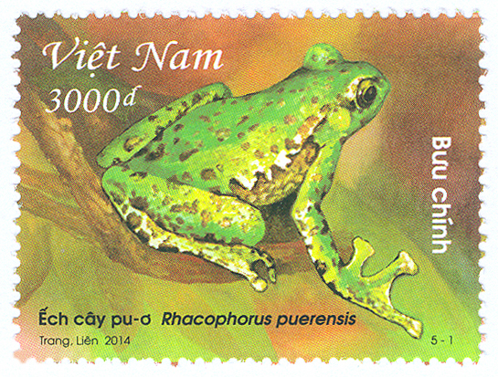 Bộ tem bưu chính "Ếch cây"