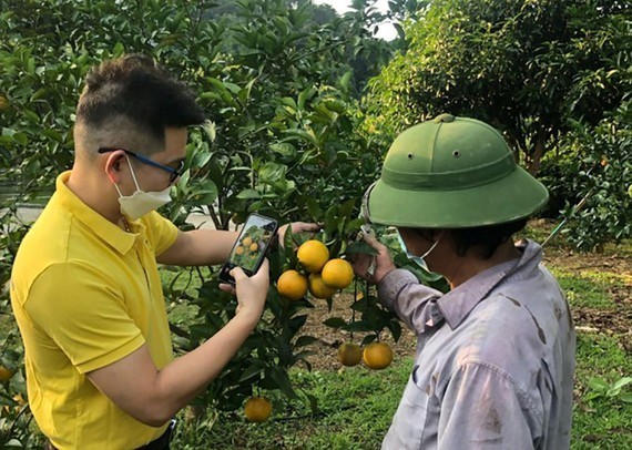 Tổng hợp báo chí ngành Bưu điện ngày 14/06/2022