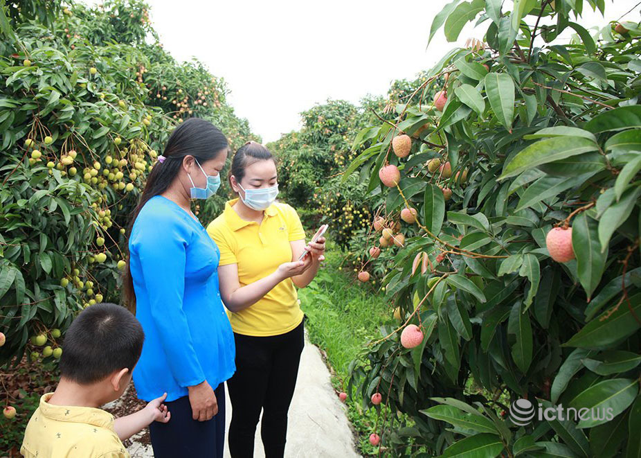 Tổng hợp báo chí ngành Bưu điện ngày 26/05/2021