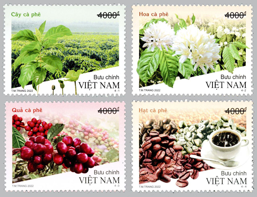Vietnam Post introduces the stamp set "Coffee plant"