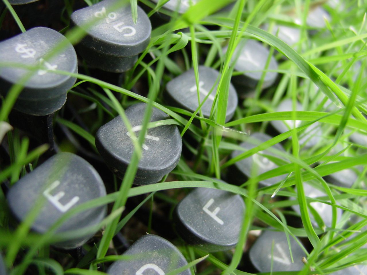 Vietnam Post applies information technology for successful digital transformation