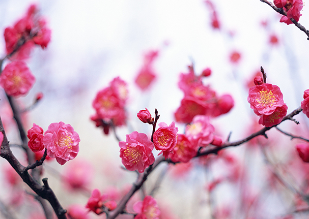 Thư của đồng chí Đỗ Ngọc Bình, Bí thư Đảng ủy, phụ trách chức vụ Chủ tịch Tổng Công ty gửi cán bộ công nhân viên, đội ngũ lao động Tổng Công ty Bưu Điện Việt Nam 