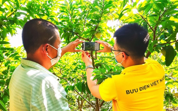 Tổng hợp báo chí ngành Bưu điện ngày 17/05/2022