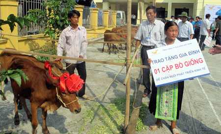 Tổng hợp báo chí ngành Bưu điện ngày 04/06/2015