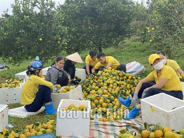 Tổng hợp báo chí ngành Bưu điện ngày 20/01/2022