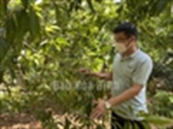 Tổng hợp báo chí ngành Bưu điện ngày 17/04/2022