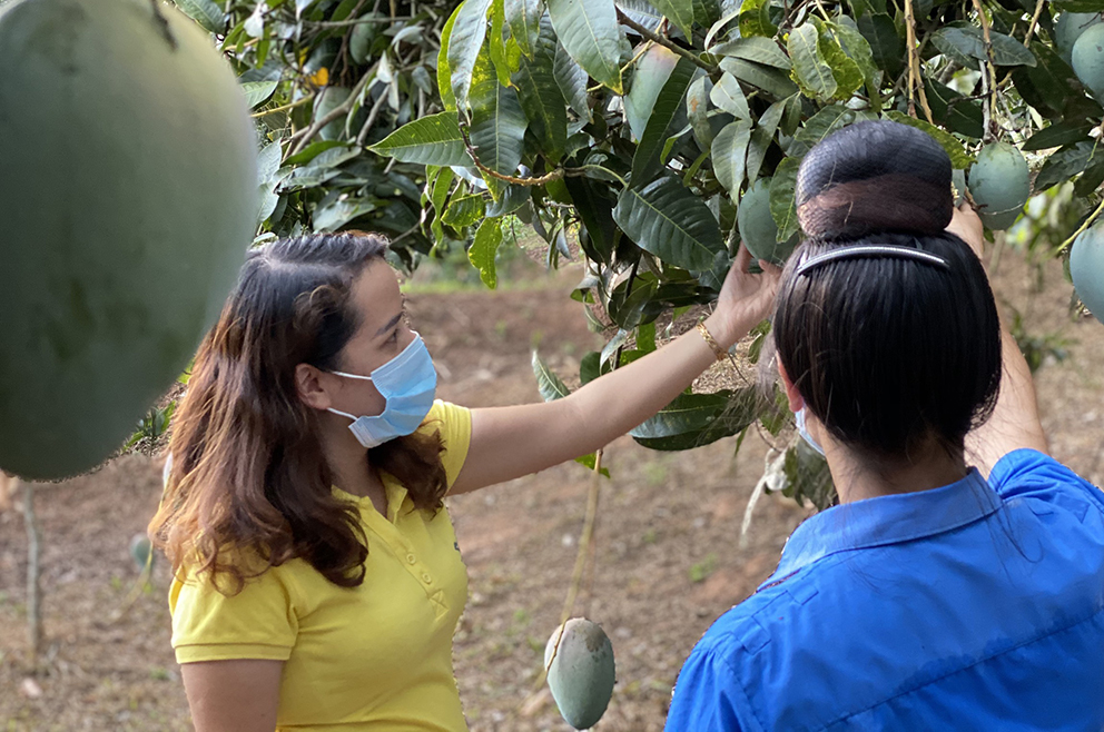 Tổng hợp báo chí ngành Bưu điện ngày 29/05/2021