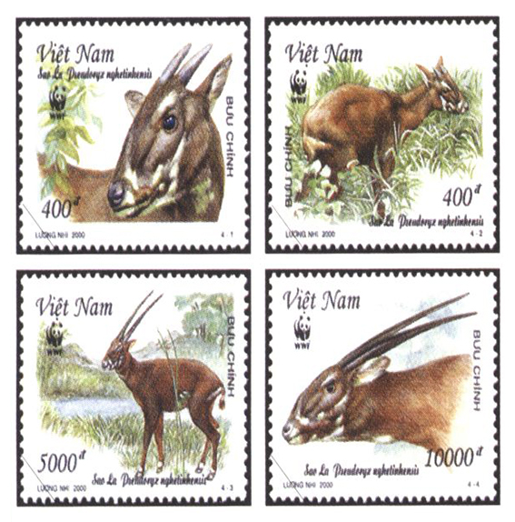 The debut of Saola stamp set