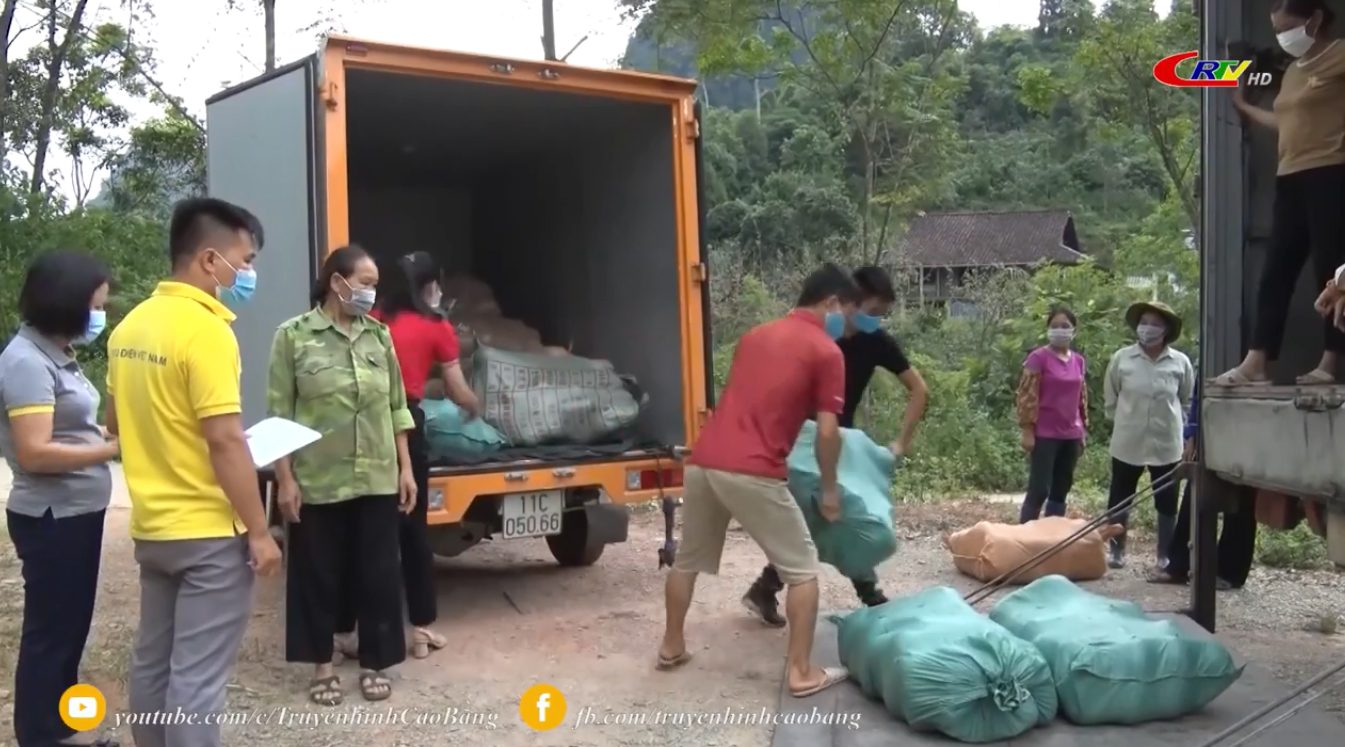 Tổng hợp báo chí ngành Bưu điện ngày 05/09/2021