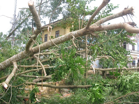 Miền Trung: Tan hoang sau bão số 10