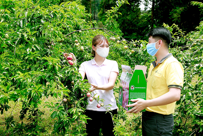 Tổng hợp báo chí ngành Bưu điện ngày 30/05/2021