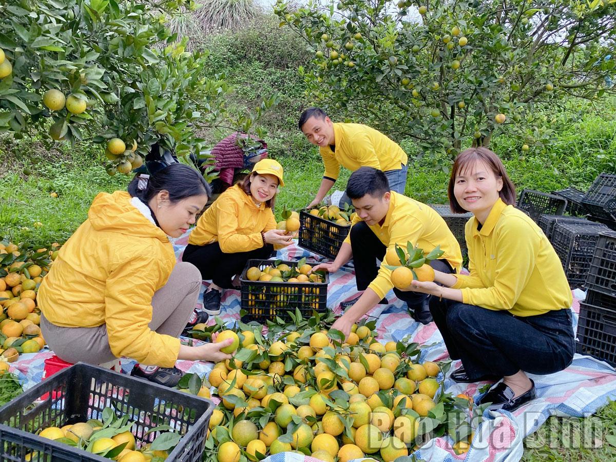 Bưu điện tỉnh Hòa Bình: Đa dạng hóa hoạt động dịch vụ