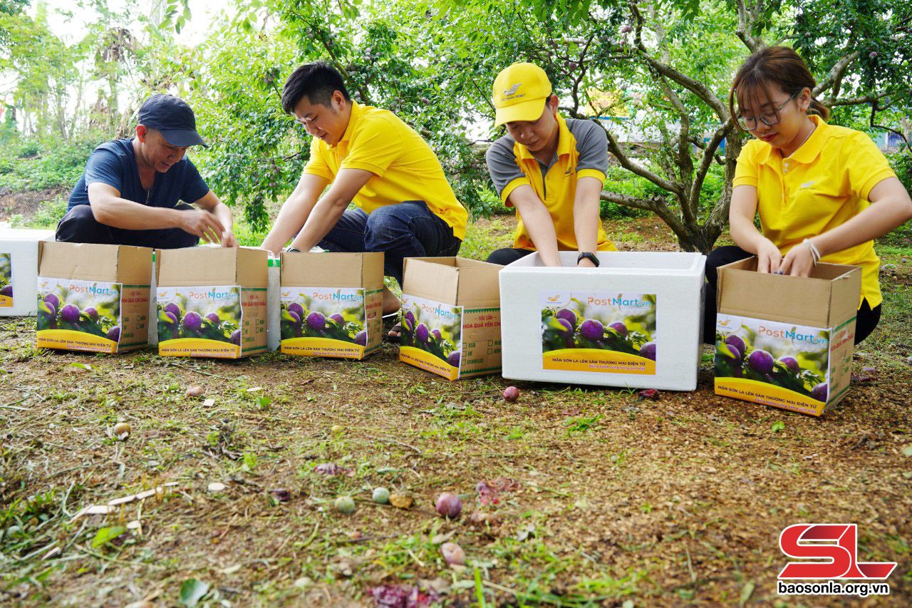 Tổng hợp báo chí ngành Bưu điện ngày 01/06/2023