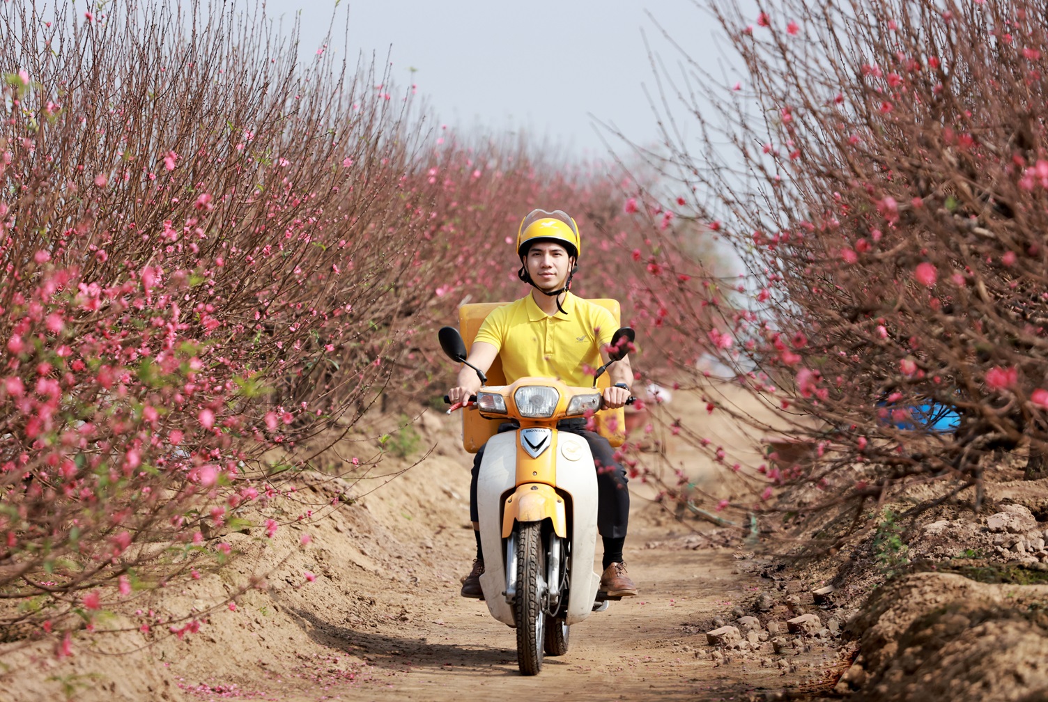 Bưu điện Việt Nam chủ động mọi phương án đảm bảo bưu gửi đến tay người nhận Tết Nguyên đán 2024